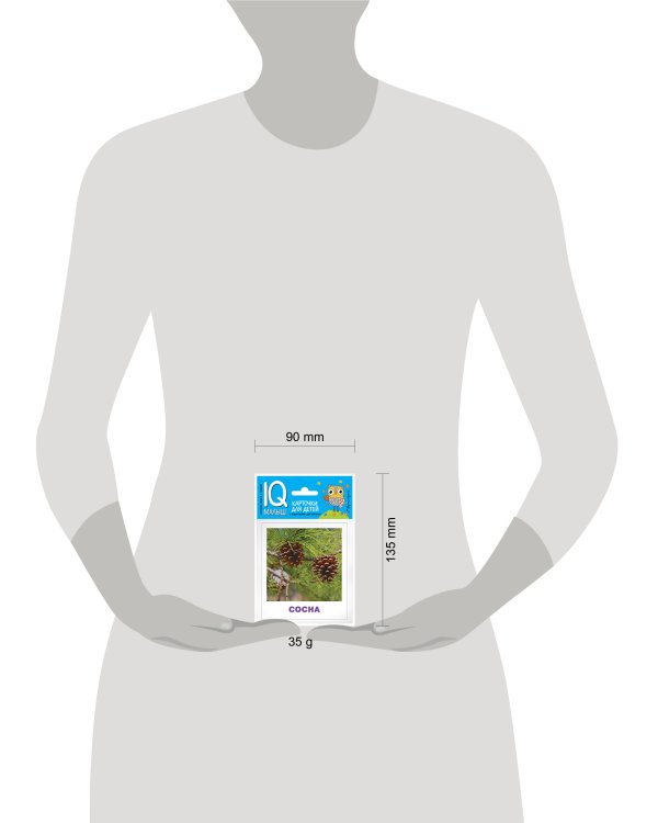 Умный малыш. Деревья