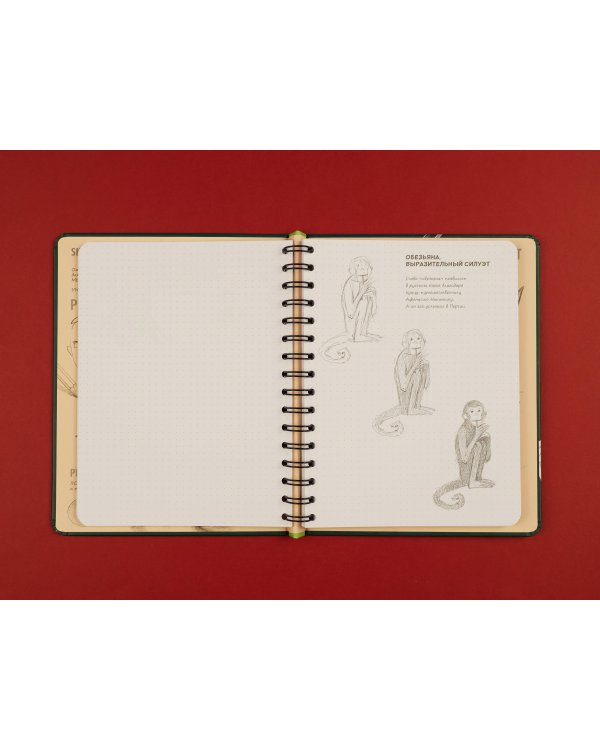 Sketchbook с уроками внутри. Рисуем животных (изумруд)