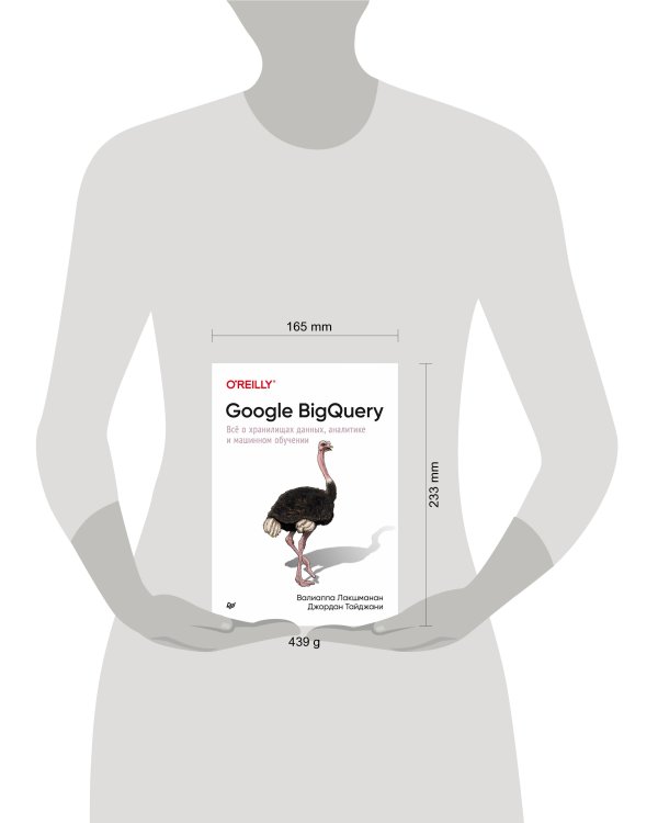 Google BigQuery. Всё о хранилищах данных, аналитике и машинном обучении