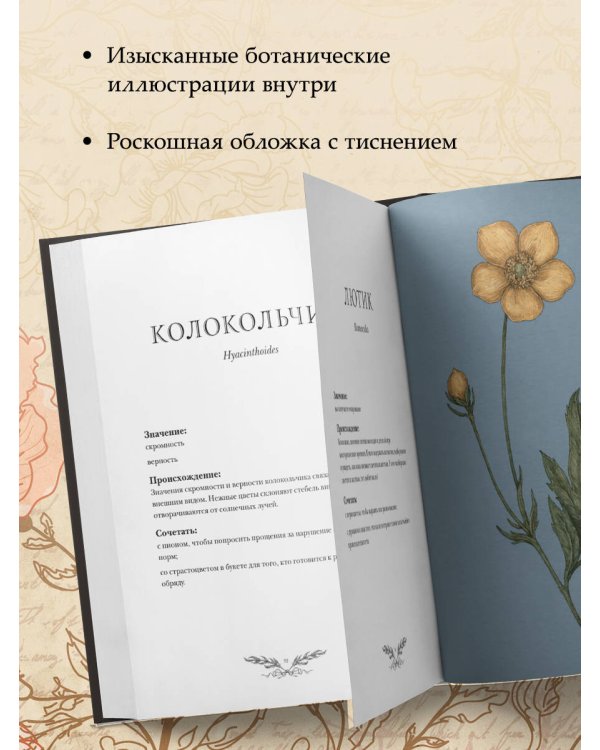 Флориография. Карманное руководство по викторианскому языку цветов