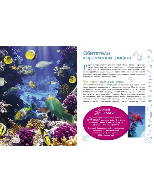 Морские животные