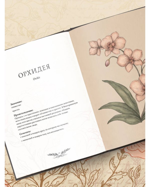 Флориография. Карманное руководство по викторианскому языку цветов