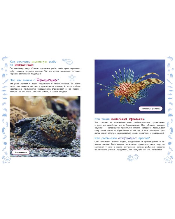 Морские животные