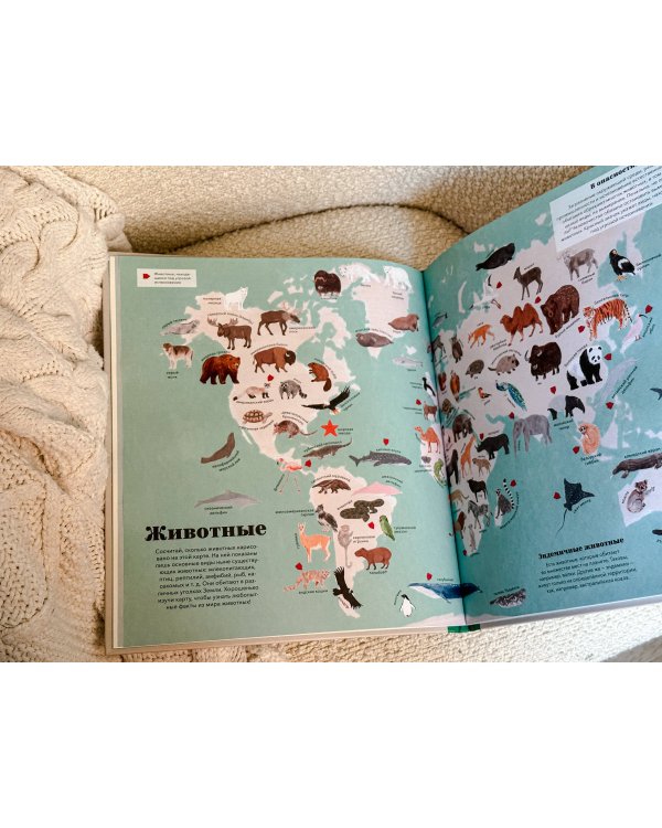 Атлас мира. Всё, что можно показать на карте