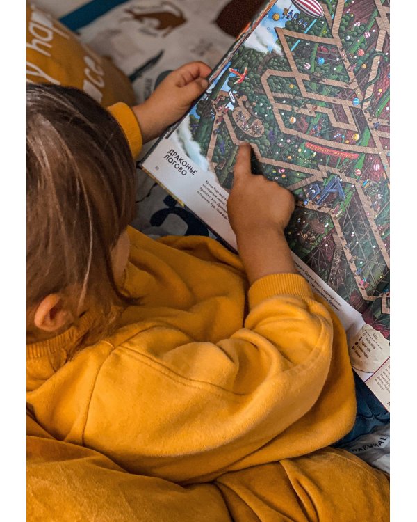 Детектив Пьер распутывает дело. Сокровище Воздушного замка