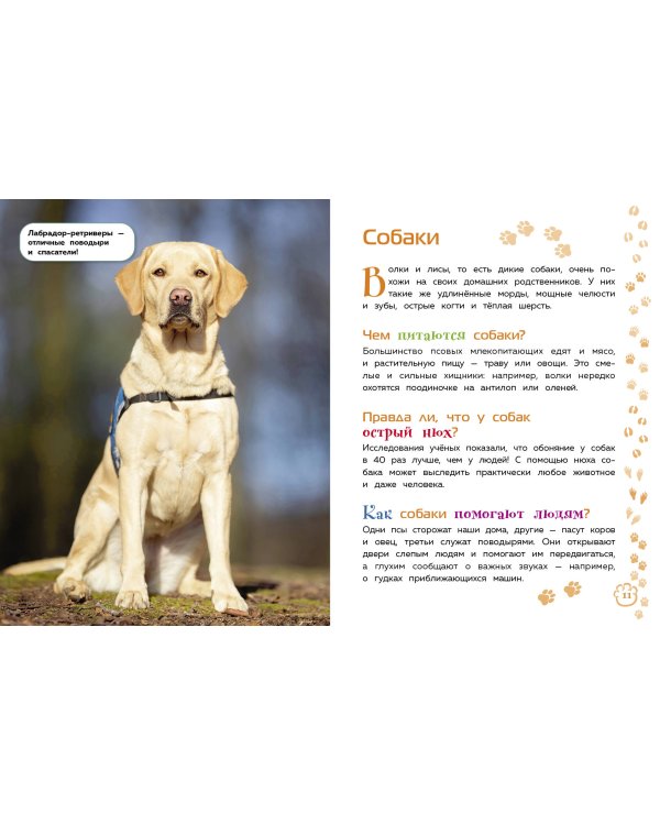 Животные. Большая детская энциклопедия