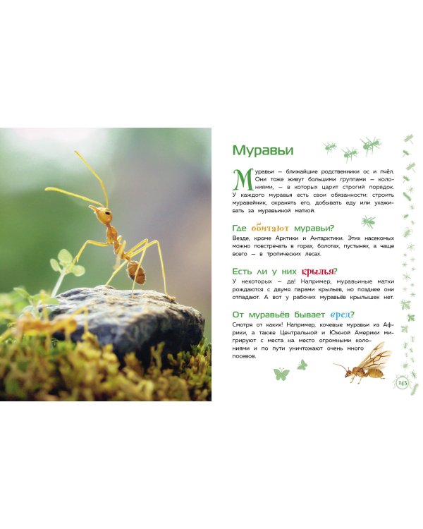 Животные. Большая детская энциклопедия