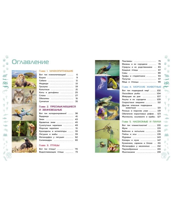 Животные. Большая детская энциклопедия