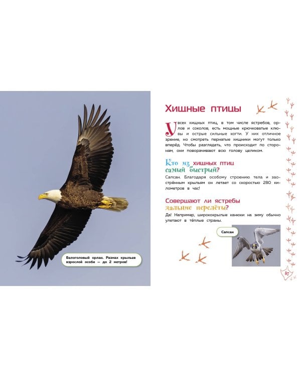 Животные. Большая детская энциклопедия