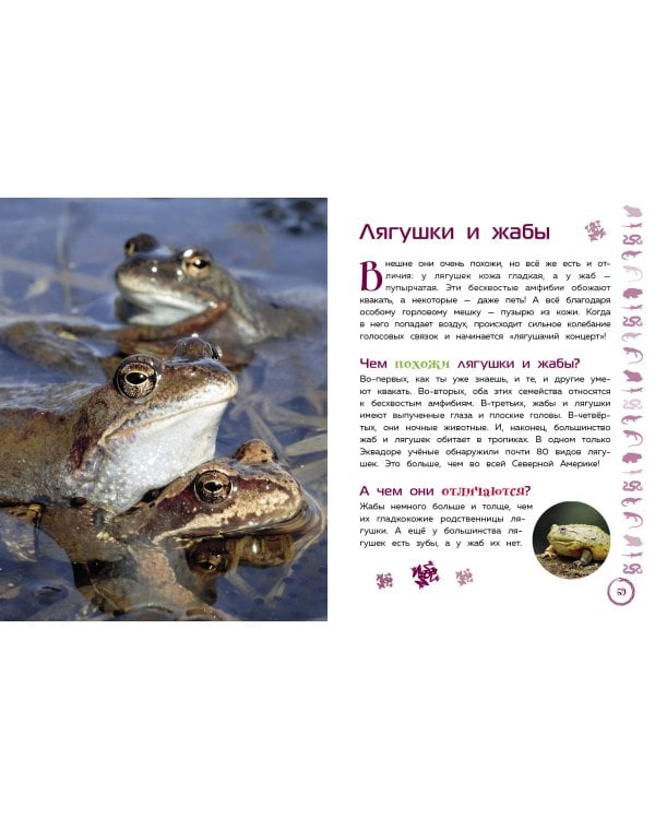 Животные. Большая детская энциклопедия