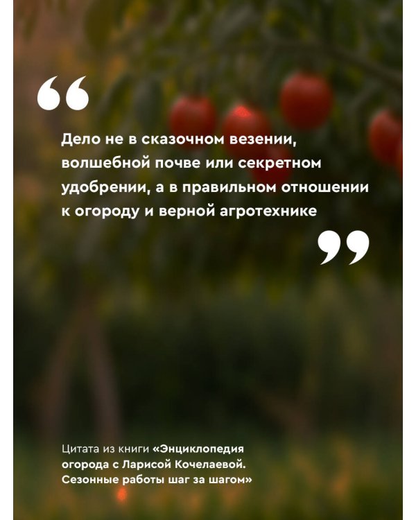 Энциклопедия огорода с Ларисой Кочелаевой. Сезонные работы шаг за шагом