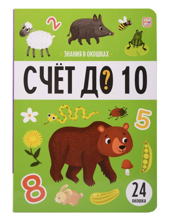 Знания в окошках. Счет до 10