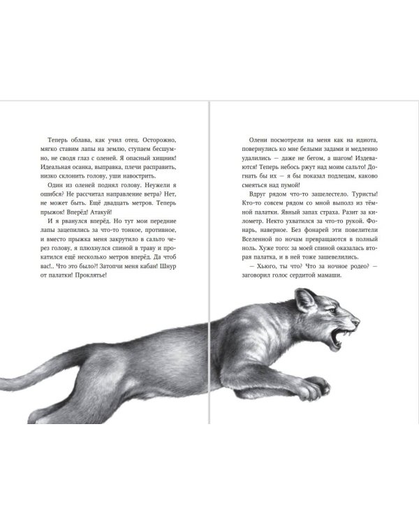 Дети леса. Превращение Карага (кинообложка)