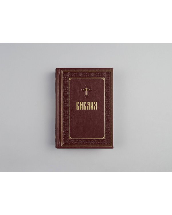 Библия. Книги Священного Писания Ветхого и Нового Завета. Подарочное издание с закрашенным обрезом