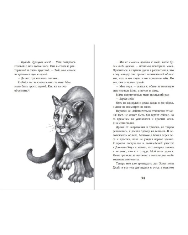 Дети леса. Превращение Карага (кинообложка)