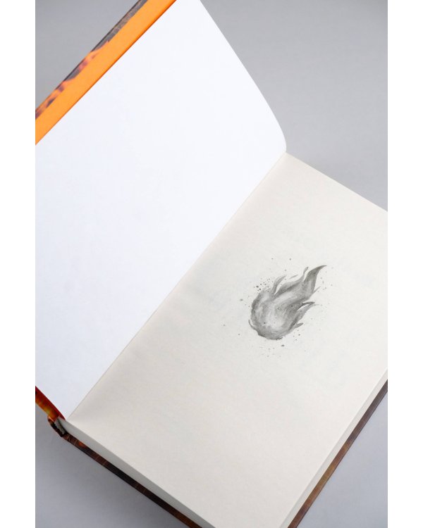 Чернила и огонь