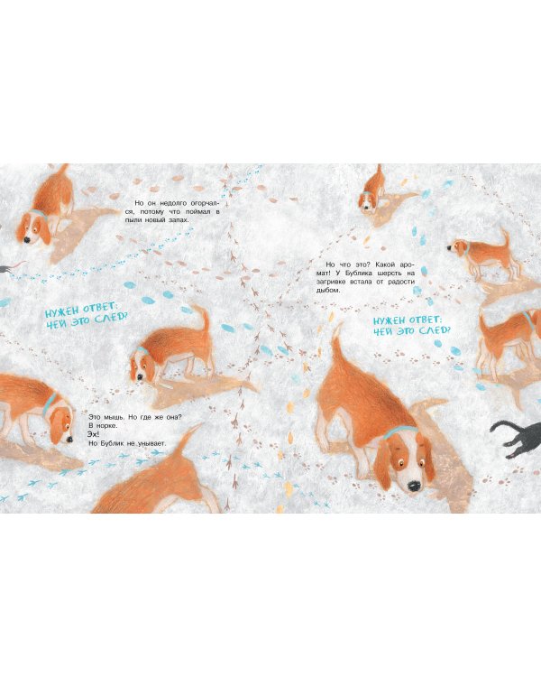 Бигль Бублик ищет дом