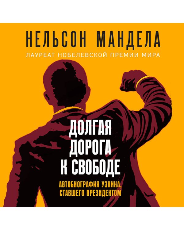 Долгая дорога к свободе. Автобиография узника, ставшего президентом