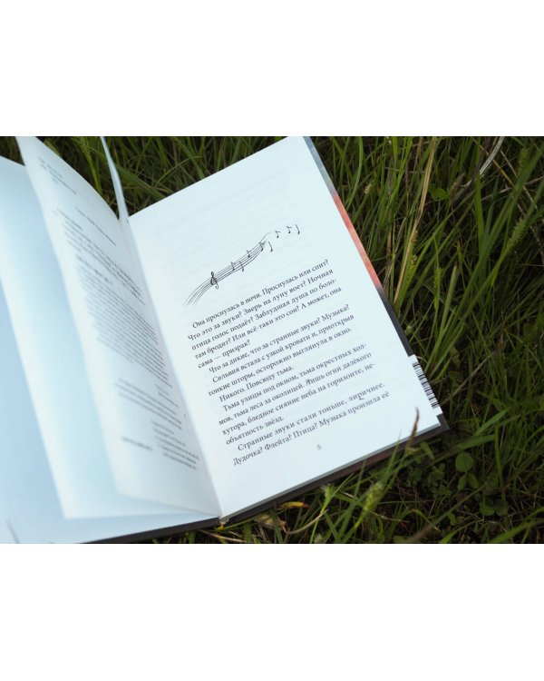 Музыка крыльев