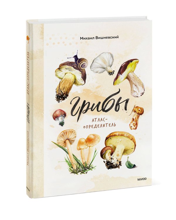 Грибы. Атлас-определитель