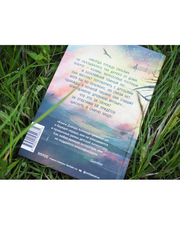 Музыка крыльев