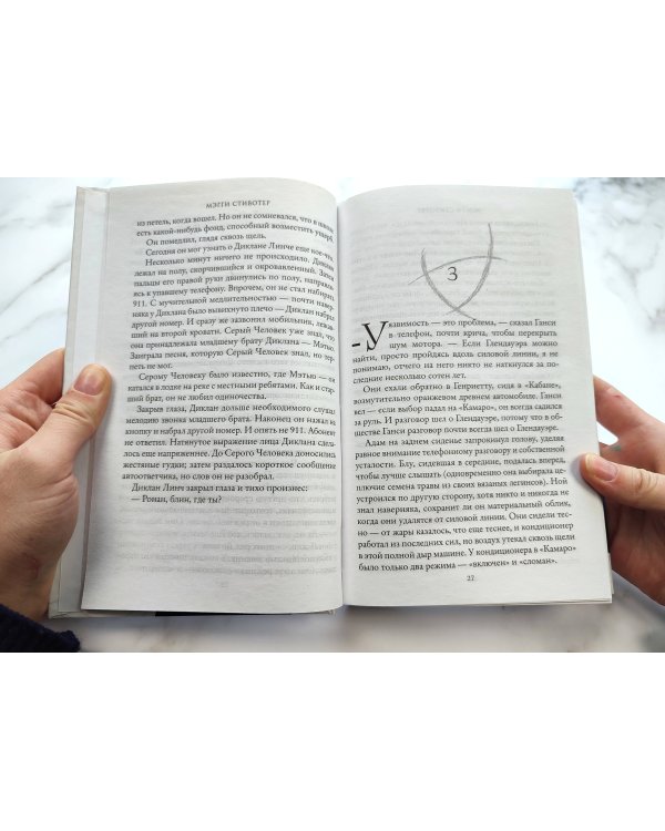 Вороновый круг. Похитители снов (#2)