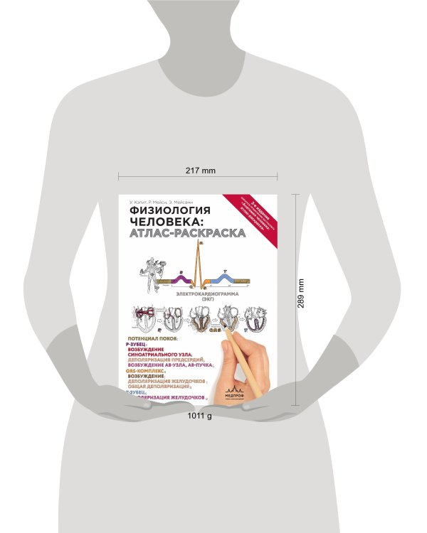 Физиология человека: атлас-раскраска