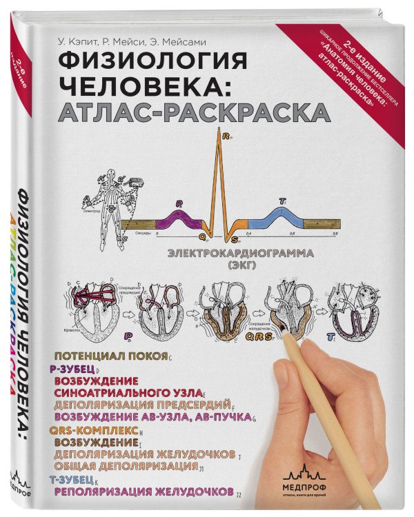 Физиология человека: атлас-раскраска