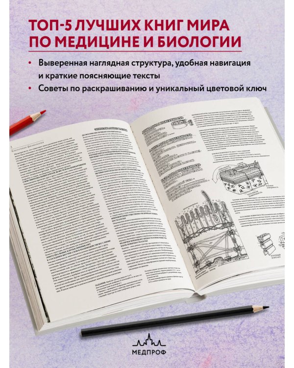 Физиология человека: атлас-раскраска