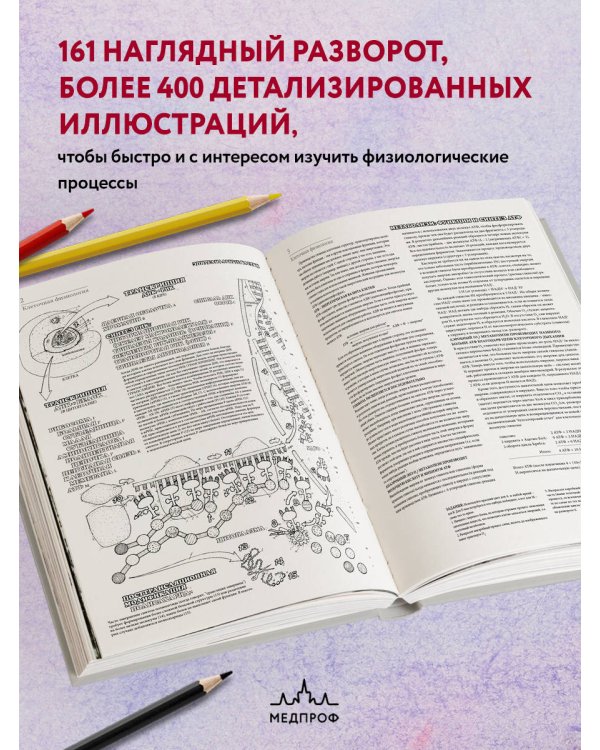 Физиология человека: атлас-раскраска