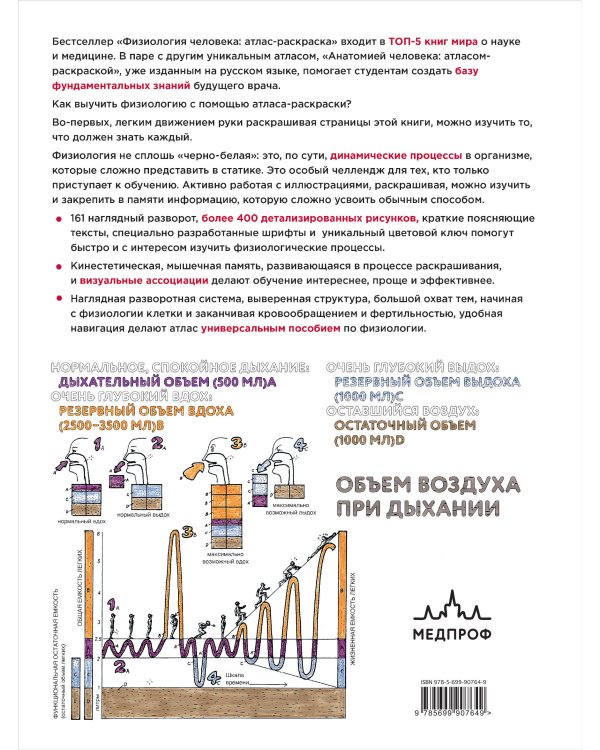 Физиология человека: атлас-раскраска