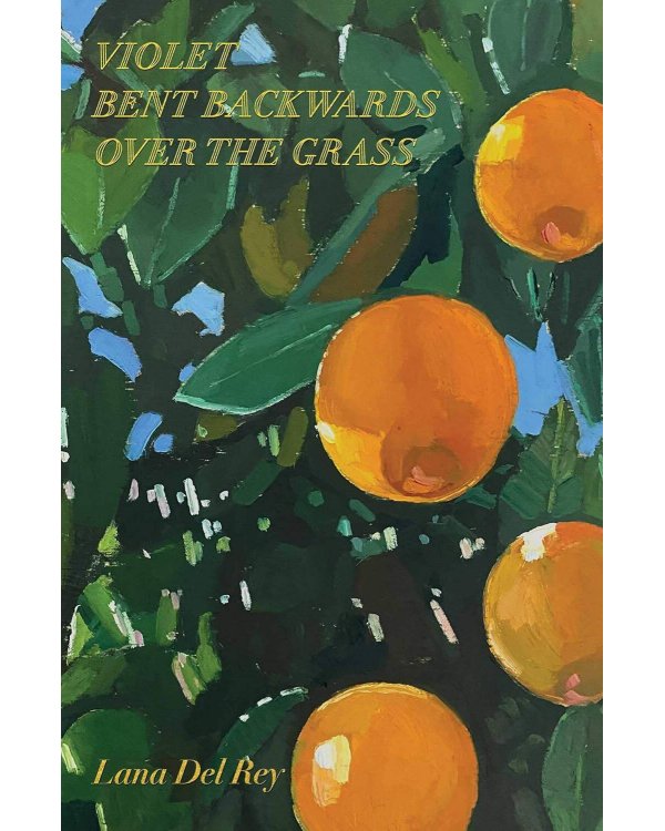 Violet bent backwards over the grass (Lana Del Rey) Вайолет, изогнувшаяся над травой / Книги на английском языке