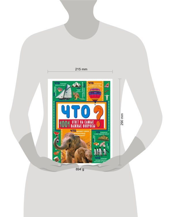 ЧТО? 1001 ответ на самые важные вопросы