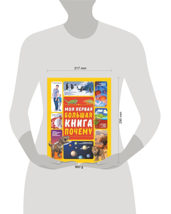 Моя первая большая книга ПОЧЕМУ