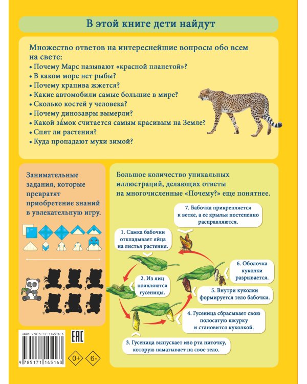 Моя первая большая книга ПОЧЕМУ