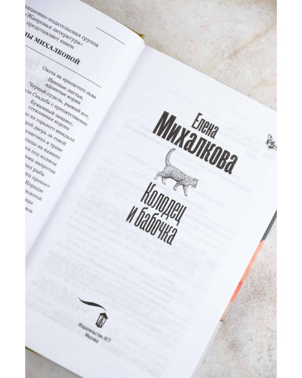 Колодец и бабочка