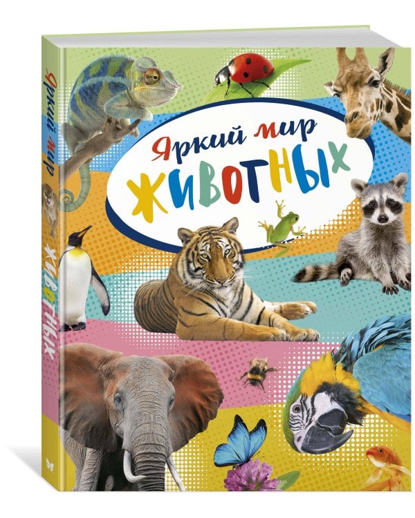 Яркий мир животных