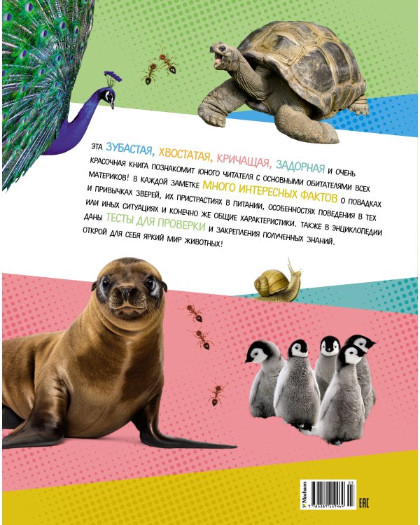 Яркий мир животных