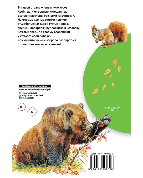 Кто живёт в лесу?