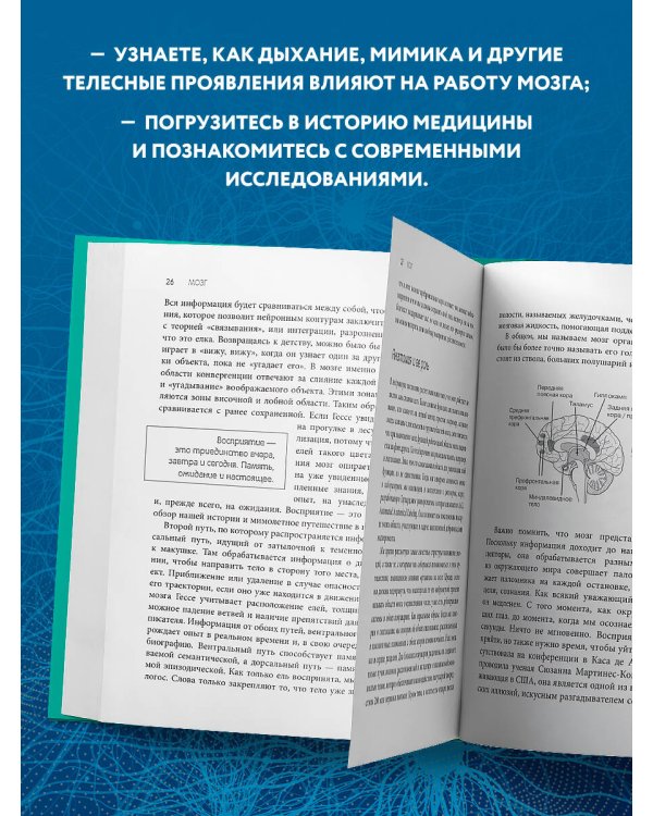 Телесный интеллект. Парадоксальное открытие о том, как тело определяет наши эмоции, поведение и темперамент