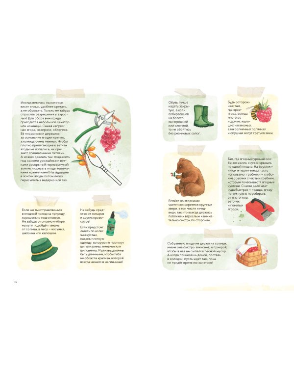 Ягоды. Атлас-определитель