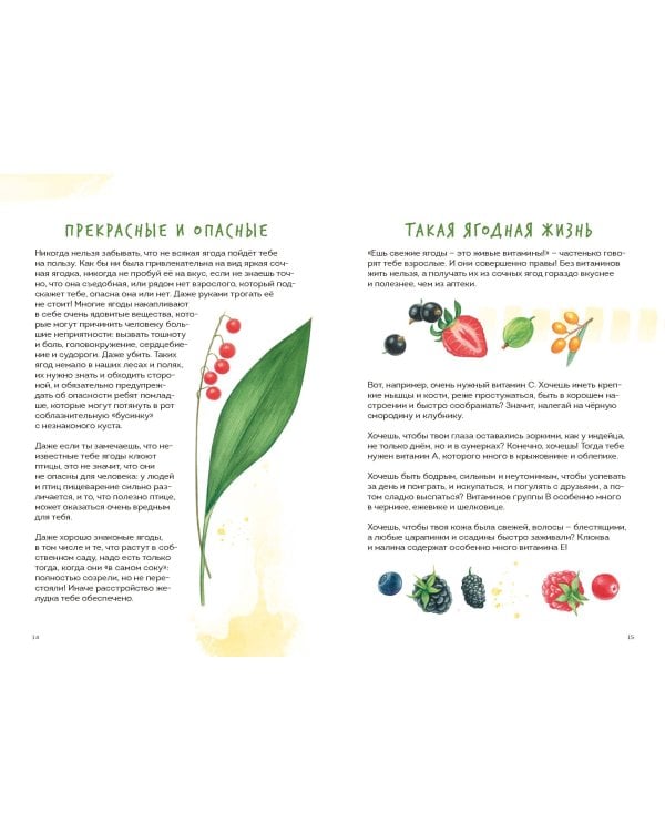 Ягоды. Атлас-определитель