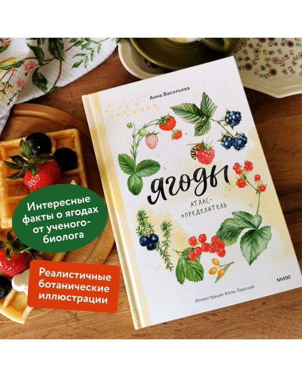 Ягоды. Атлас-определитель