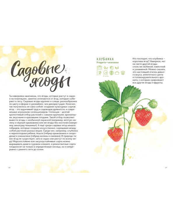 Ягоды. Атлас-определитель