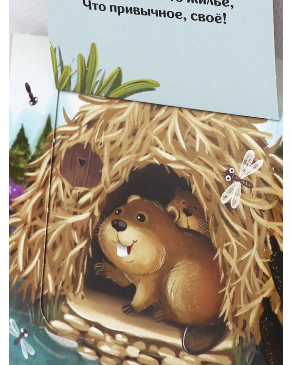 Прятки для самых маленьких. Чей домик лучше.