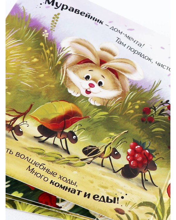 Прятки для самых маленьких. Чей домик лучше.