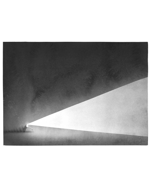 Миссия дикого робота