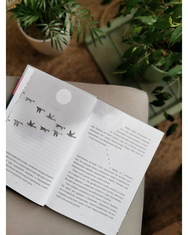 Миссия дикого робота