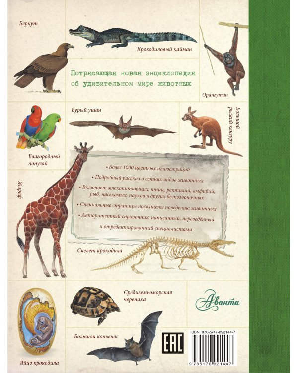 Животные. Детская энциклопедия