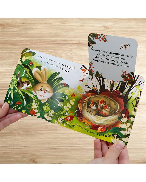 Прятки для самых маленьких. Чей домик лучше.